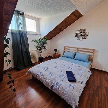 Nice Room 4 Minutes From Basel Shared Apartment Сен-Луи Екстериор снимка