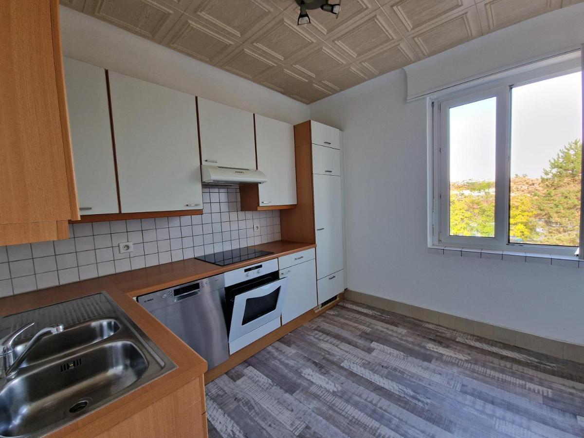Nice Room 4 Minutes From Basel Shared Apartment Сен-Луи Екстериор снимка