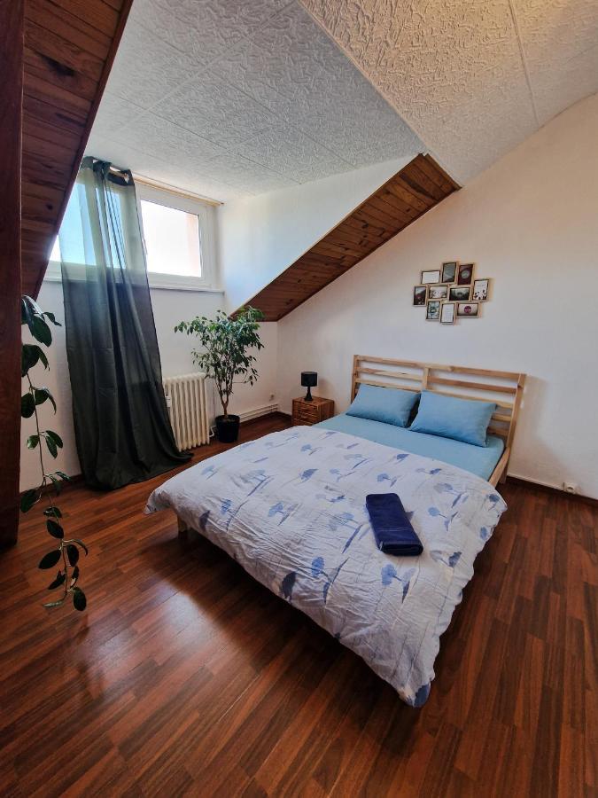 Nice Room 4 Minutes From Basel Shared Apartment Сен-Луи Екстериор снимка