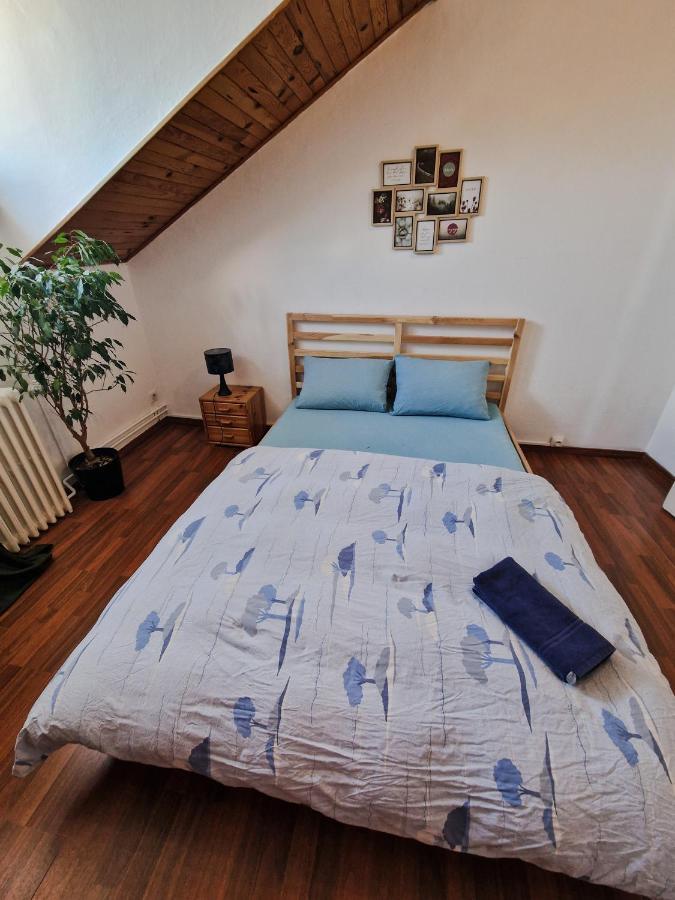 Nice Room 4 Minutes From Basel Shared Apartment Сен-Луи Екстериор снимка
