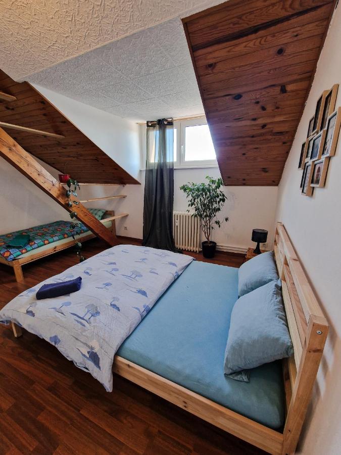 Nice Room 4 Minutes From Basel Shared Apartment Сен-Луи Екстериор снимка